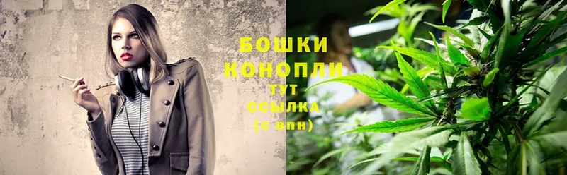 магазин продажи наркотиков  Арск  Бошки марихуана Ganja 